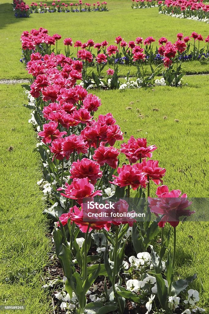 Garten im Frühling - Lizenzfrei Blumenbeet Stock-Foto