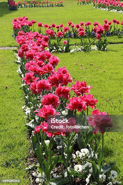 Garten Im Frühling Stockfoto und mehr Bilder von Blumenbeet - Blumenbeet, Hausgarten, Tulpe