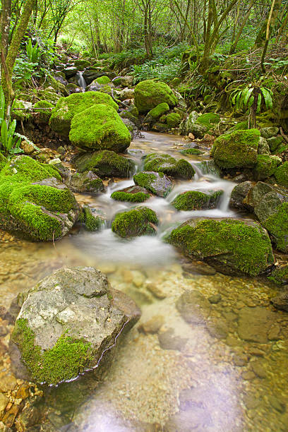 istock Waterfalls in the Chiampo river (Ferrazza of Crespadoro) 489589281
