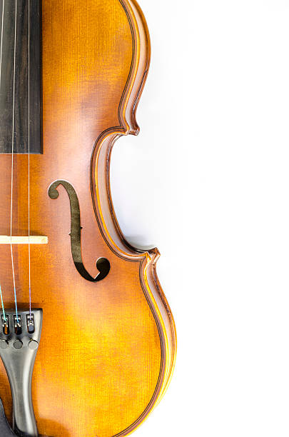 istock music string instrument violin isolated on white 489591445