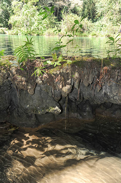 istock Natural monument park of Semuc Champey at Lanquin 489592099