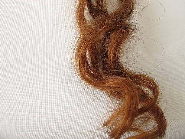 istock Chestnut-brown hair strand 489593289