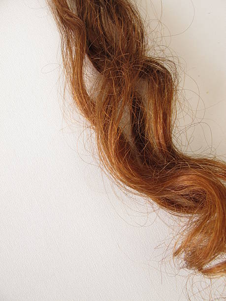istock Chestnut-brown hair strand 489593293