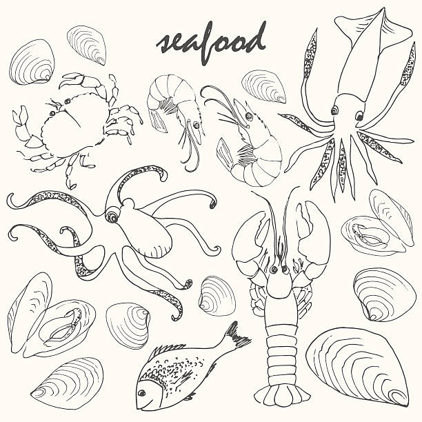 벡터 낙서 해산물 세트를 블랙힐스 잉크에도 흰색. - computer icon symbol sea life prepared crab stock illustrations