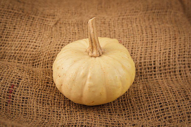 ornamental gourd