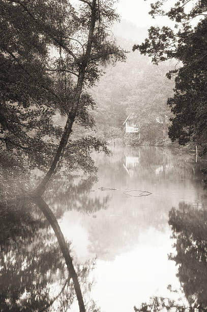 istock Beautiful Autumn Fall nature image landscape in black and white 489606914