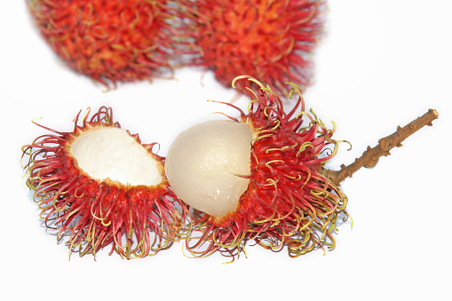 Group of fresh rambutan fruit on white background. Rambutan is a tropical fruit native to Southeast Asia.