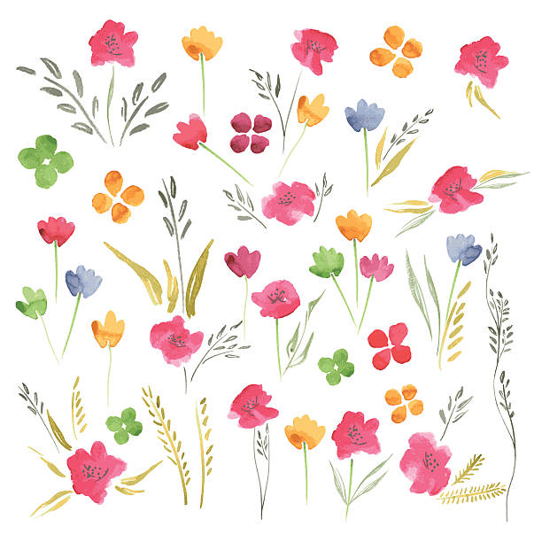 вектор летом цветы акварелью - paintbrush wallpaper brush paper creativity stock illustrations
