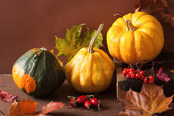 istock decorative pumpkins and autumn leaves for halloween 489613832