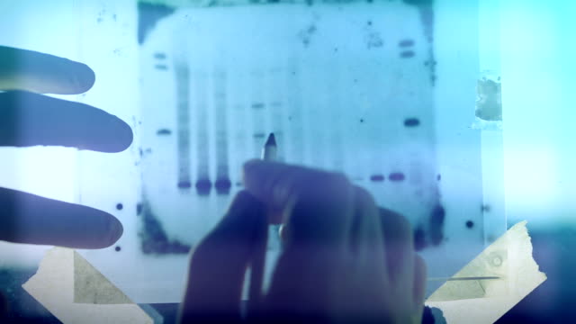 DNA genetic analysis results