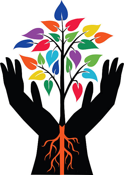 두 손으로 색상화 공장요 - development tree human hand bonsai tree stock illustrations
