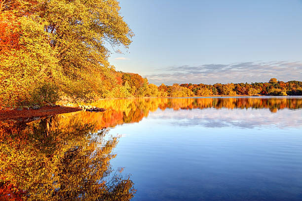 istock Autumn on Jamaica Pond in Boston 489631344