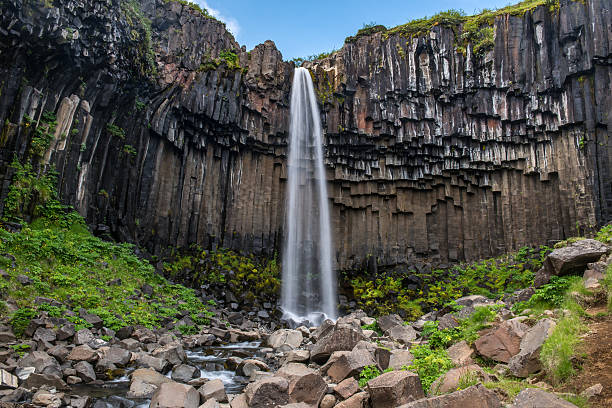 istock Svartifoss Waterfall, Skaftafell national park, Iceland 489632112