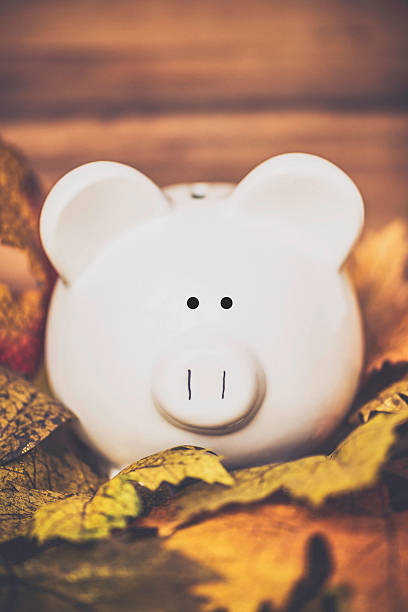 istock Fall Savings. Piggy bank amongst fall leaves with copyspace 489632364