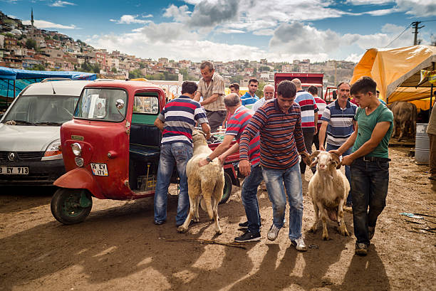 sacrificial mercato - editorial sacrifice animal cow foto e immagini stock