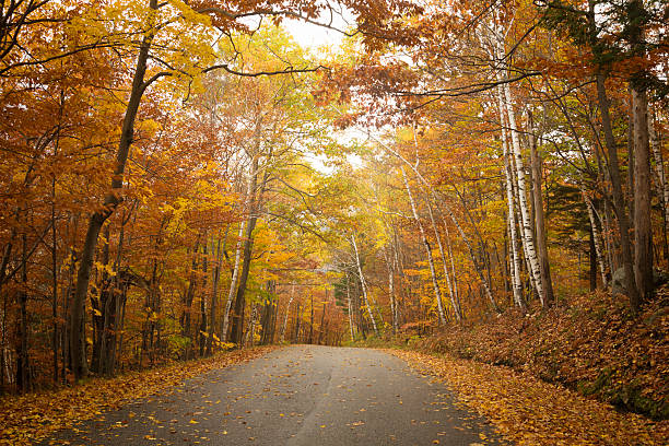 istock Vermont Road in Autumn 489633644