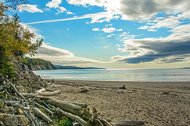 istock Beach in the Forillion National Park, Gaspe, Quebec 489634016