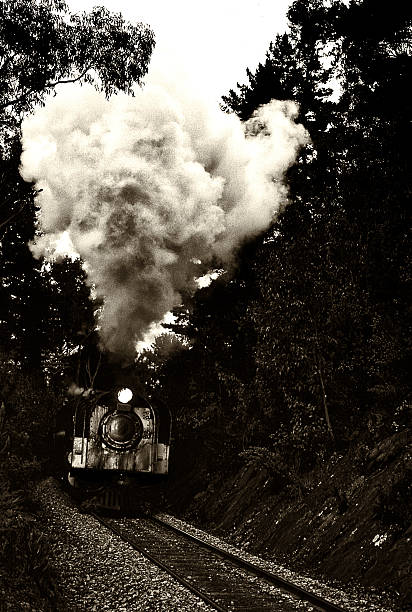 istock Steam Engine Steam Train Steam Smoke Locomotive 489634368