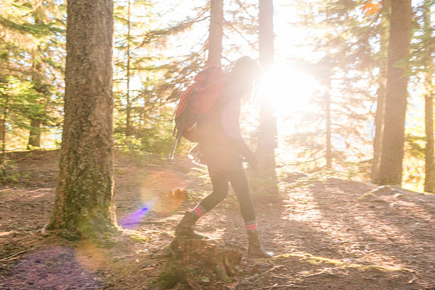 Man with nordic walking poles hiking in the mountain