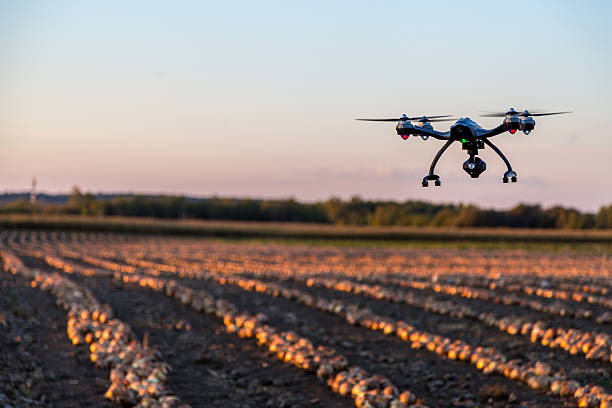 Laval, Сanada - September 23, 2015: Drone Flying At Sunset over an onions field. The drone is a Yuneec Typhoon Q500+ equipped with a 4k camera.