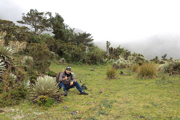 Hiker stops, sits, rests and signals he is good surrounded by espelitia plants. He is trying to reach the highest mountains of Tachita State in Venezuela at more than 3,400 meters above sea level