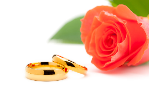 Wedding rings and pink rose on white