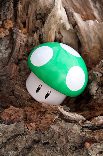 Vancouver, Canada - September 14, 2015: A 1-Up Mushroom from the Mario Bros. franchise of computer games, against a natural background. The mushroom is manufactured by the Boston America Corporation and created by Nintendo