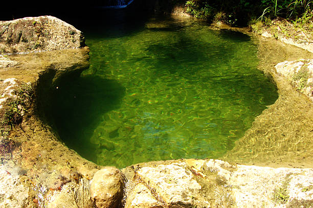 istock Natual pond photograph 489638456