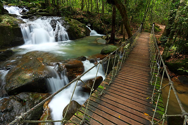 istock Waterfall with Suspension bridge in eastern part of Thailand 489638876
