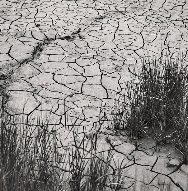 ドライ川岸 - global warming drought riverbank dirt ストックフォトと画像