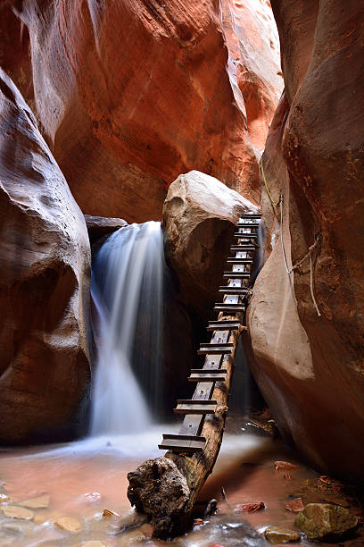 istock Kanarra Creek Slot Canyon 489639276