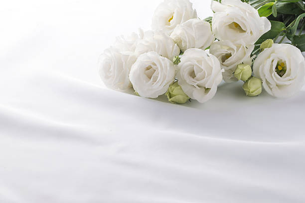 istock Turkey bellflowers 489639750