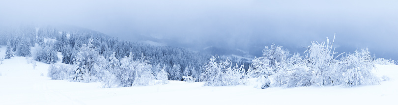 Fantastic winter landscape. National Park. Carpathian, Ukraine, Europe. Beauty world.