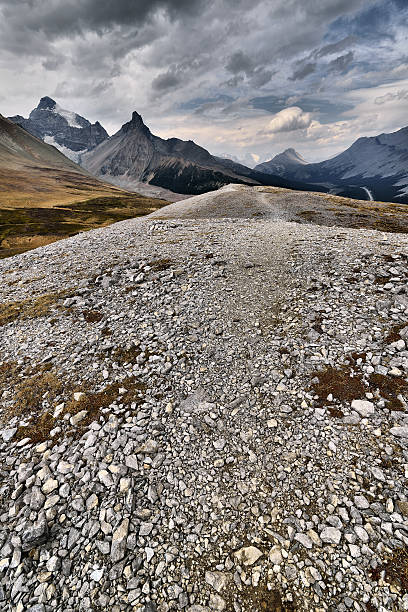 istock Parker Ridge Trail Banff National Park 489643094