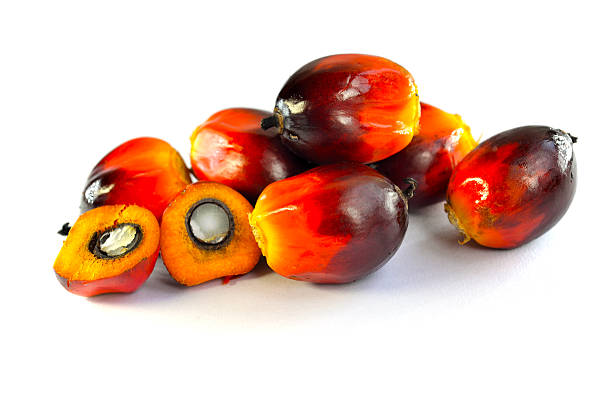 istock Oil palm fruits 489643550
