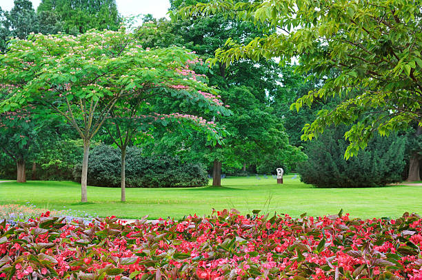 istock flowerbeds in the park 489643629