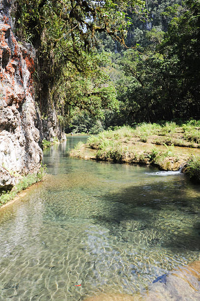 istock Natural monument park of Semuc Champey at Lanquin 489644341