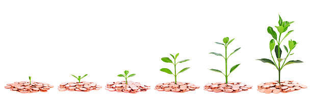 bussiness growth:coin and growing plant isolated on white background