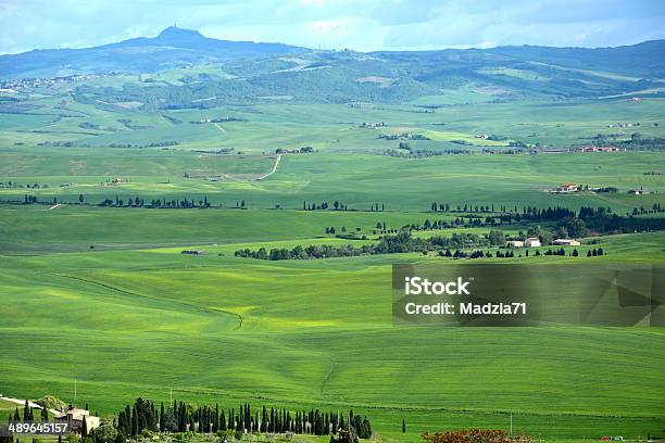 タスカニー - イタリアのストックフォトや画像を多数ご用意 - イタリア, イトスギ, トスカーナ