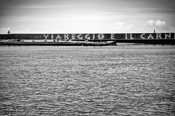 On the wall it just says name of town: Viareggio, is the carnival.