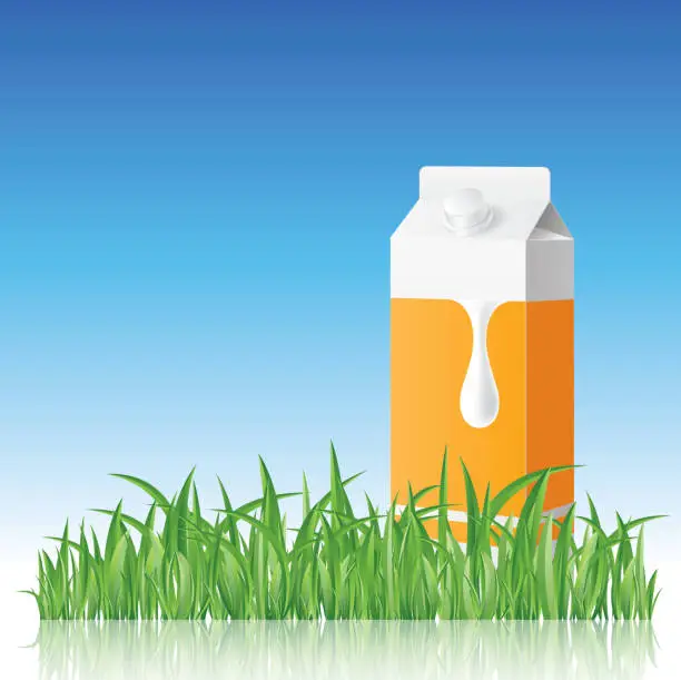 Vector illustration of Milk box on grass