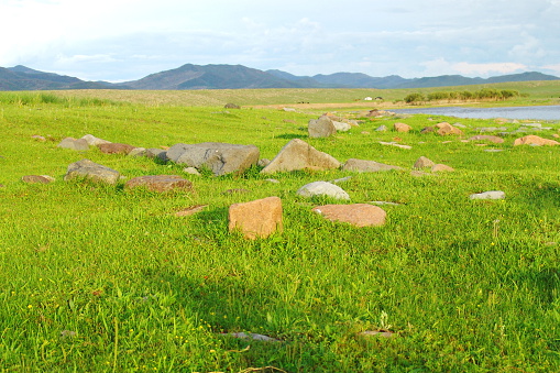 lush green grass - Mongolia