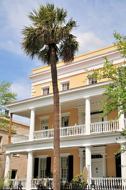 charleston, carolina del sud - day vertical palmetto south carolina foto e immagini stock