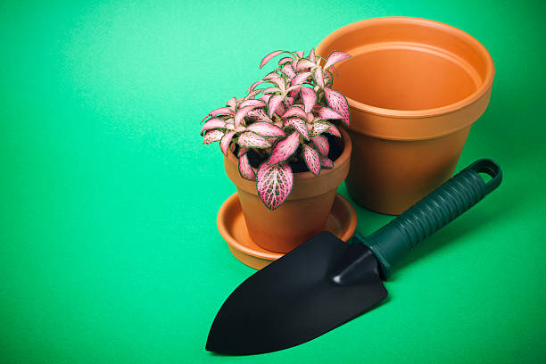 istock Garden Trowel and Flower Pot 489647647
