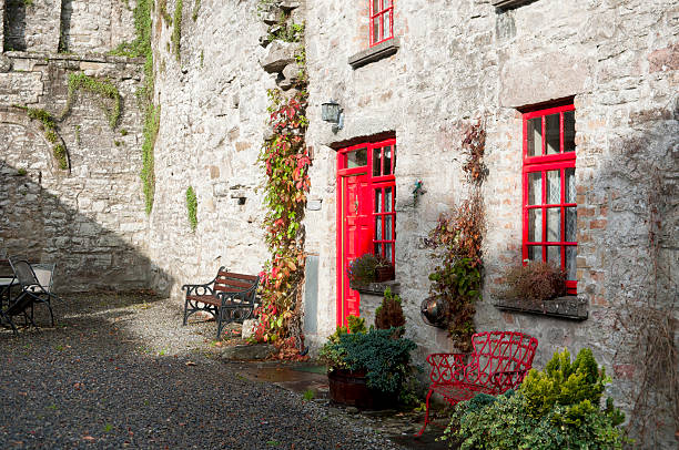 istock Abbey Dodge in Sligo 489648601