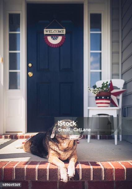 국가주의 Welcome Home 경견 대기 도와드립니다 개에 대한 스톡 사진 및 기타 이미지 - 개, 주거 건물, 7월 4일