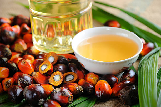 Oil palm fruits stock photo