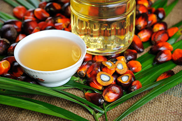 Oil palm fruits with cooking oil stock photo