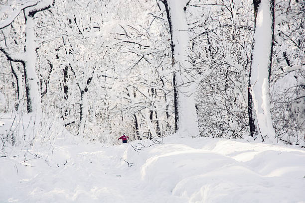 istock Snowy footpath in beautiful winter forest 489660336