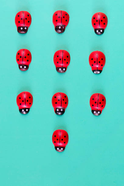 istock collection of fake ladybugs 489660940